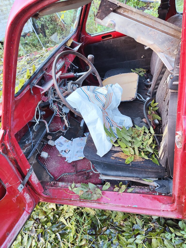 renault 4L