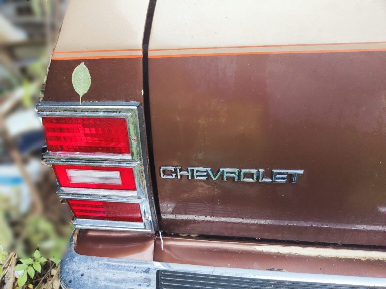 Chevrolet caprice wagon 1988 V8, 8 places