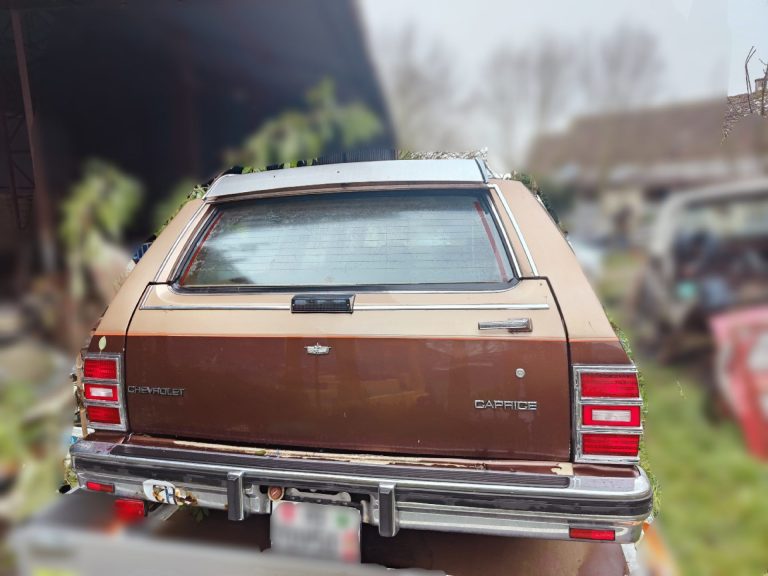 Chevrolet caprice wagon 1988 V8, 8 places