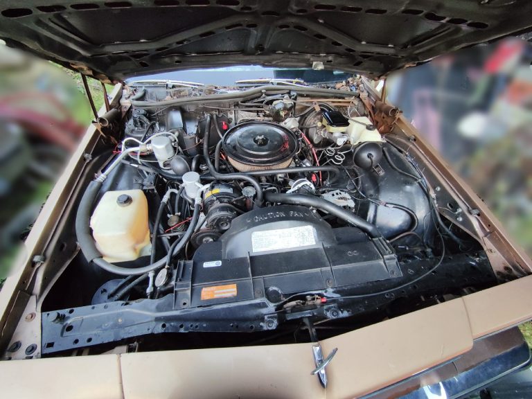 Chevrolet caprice wagon 1988 V8, 8 places