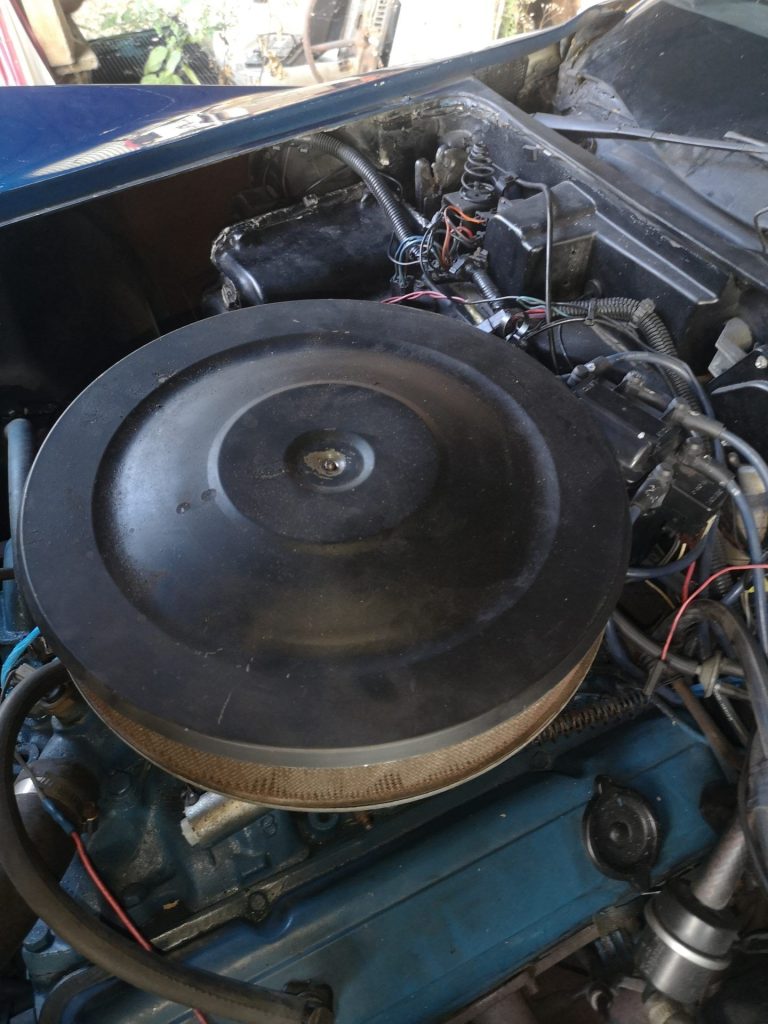 CORVETTE C3 1978 – L48 5.7L V8 – BRIGHT BLUE T-TOPS Peints , 960 exemplaires carte grise collection française, à terminer, pour la remise en route. 40200 klms au compteur