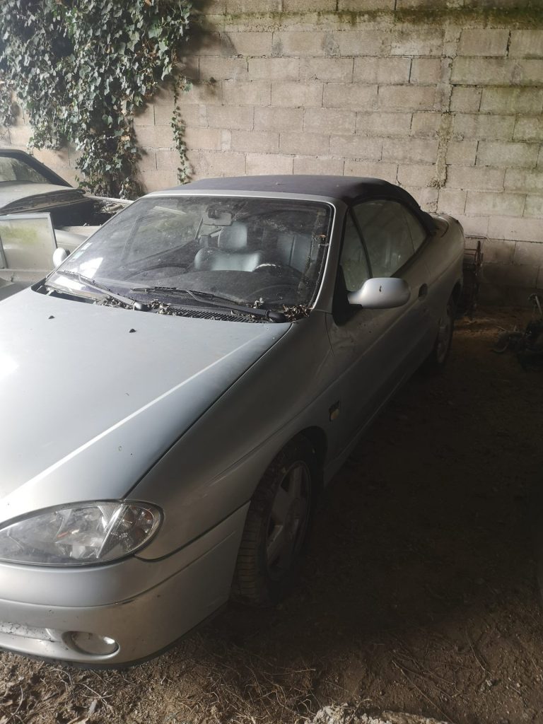 Renault Megane cabriolet série 1